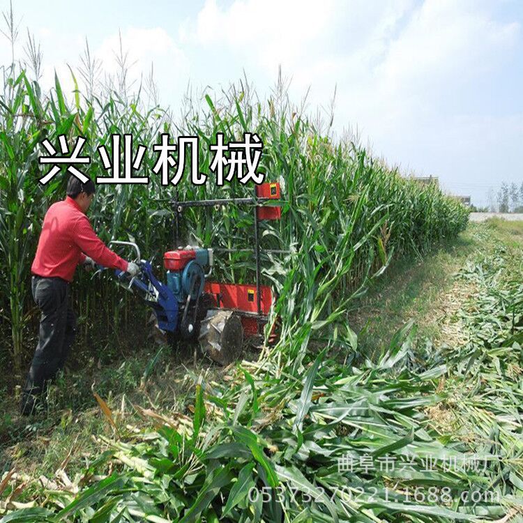 厂家直销玉米桔杆收割机 多功能辣椒收割机厂家