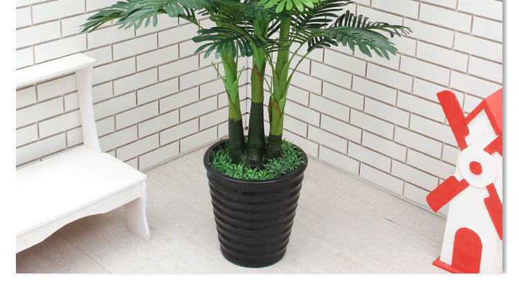 Xiaoshu Head Three -Hededed Sunflower Tree_16