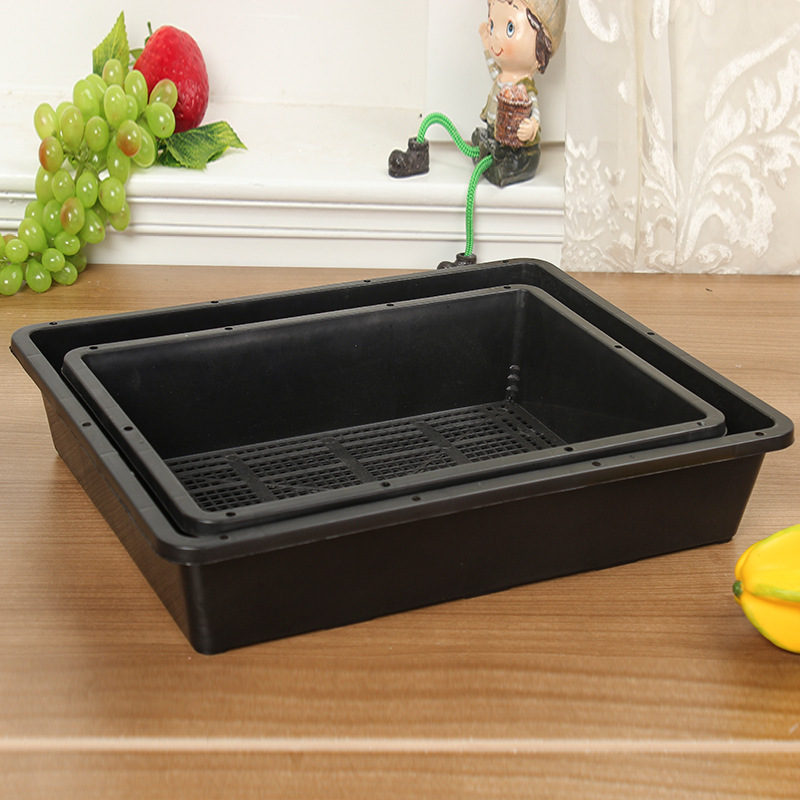 多肉育苗盤育苗盆はプラスチック植木鉢の小さな黒方整理トレーのもやしトレーの葉を厚くして鉢を挿します。|undefined
