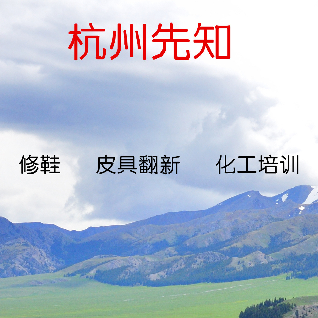 Hangzhou Xianzhi Shoe Industry Luxury Leather Shoes Bags Leather Goods Products Restoration Care and Cleaning Training