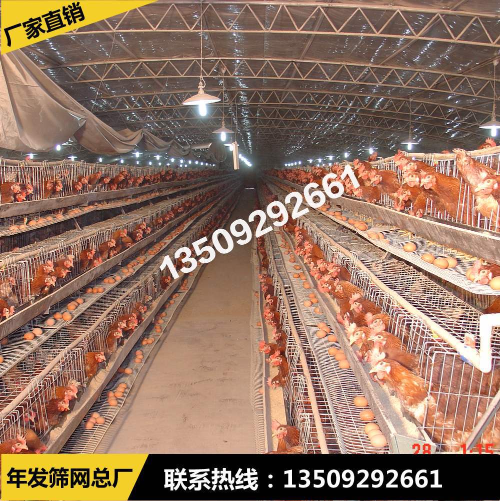 大量出口非洲 三层四门养殖蛋鸡笼 阶梯式养殖鸡笼网片 铁丝网笼