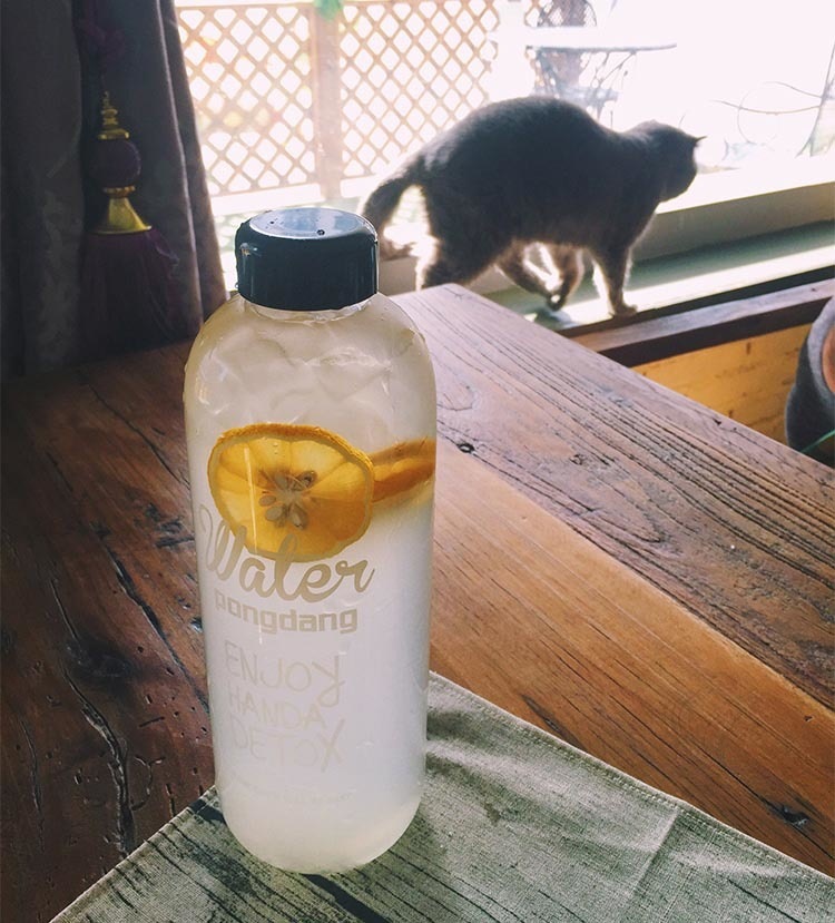 2843498454_1131408581