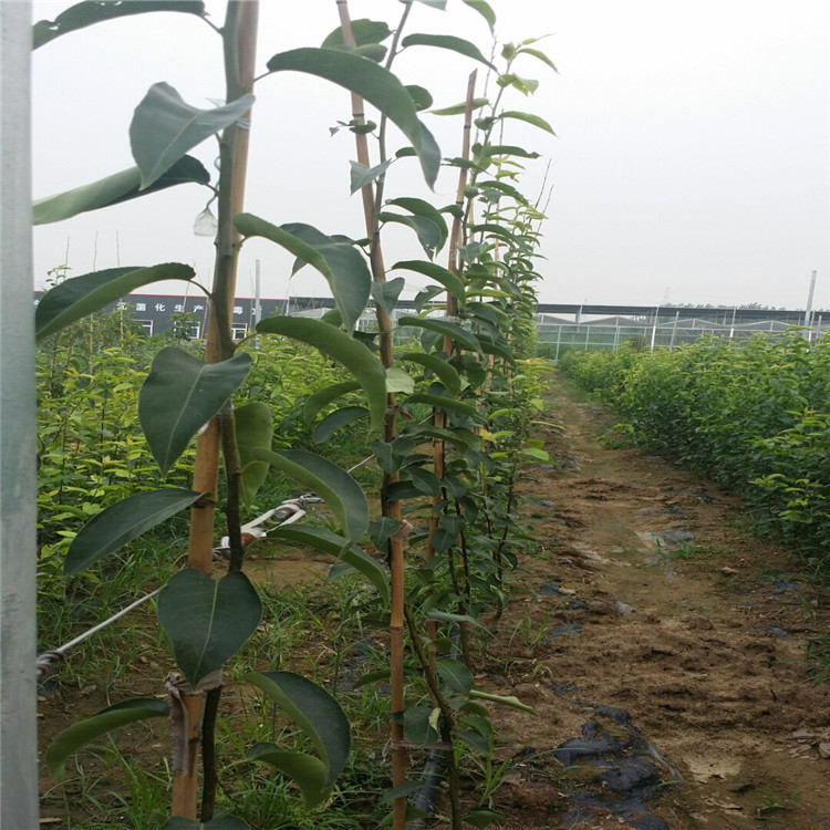 QQ图片20160727081254