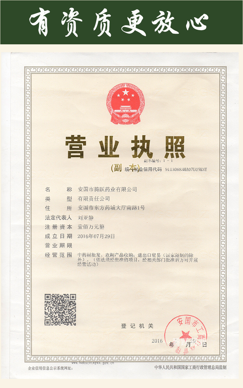 Tie Pi Shi Hu Dendrobium Officinale Feng Dou 500g Dried Herb for Tea and Soup quality and texture