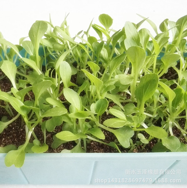 QQ圖片20160112095425_副本