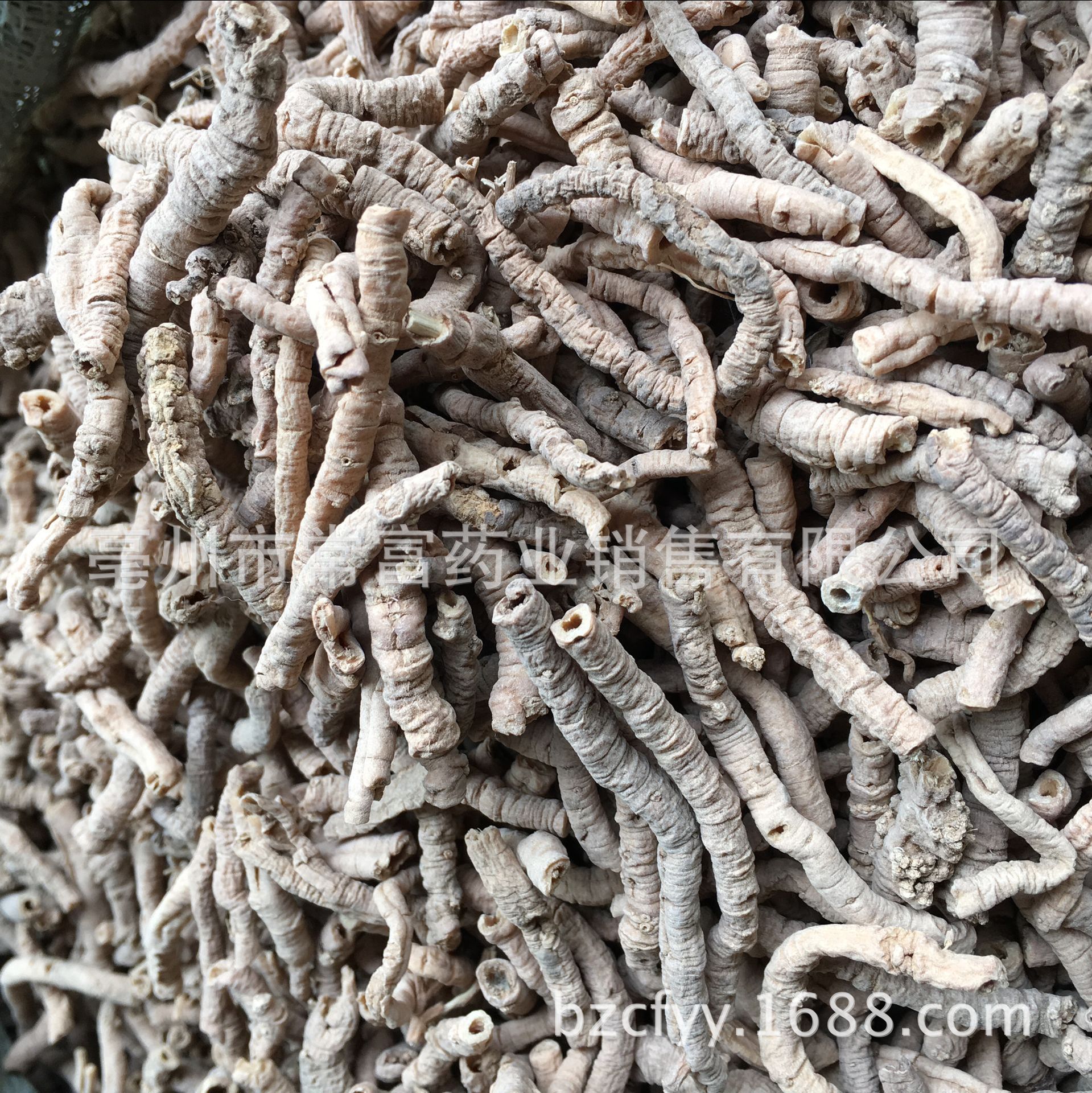 Polygala Root Yuan Zhi 远志 Dried TCM Herb 500g Shanxi Origin for Decoction and Culinary Use in use