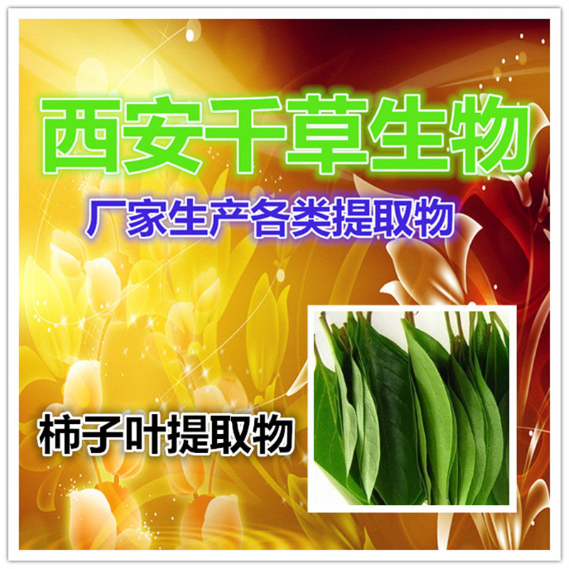 柿子叶提取物_副本