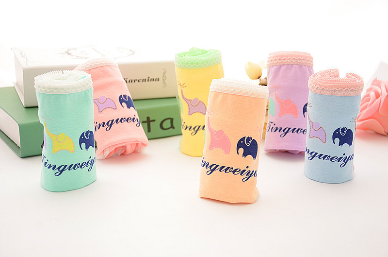 Slip jeunesse en coton - Ref 655391 Image 16