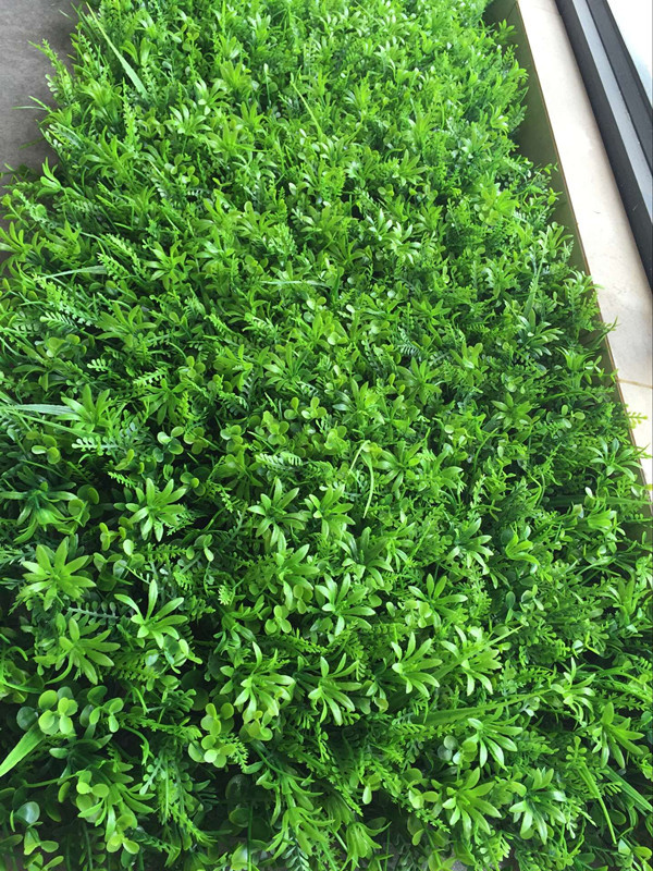 QQ图片20160707150114_副本