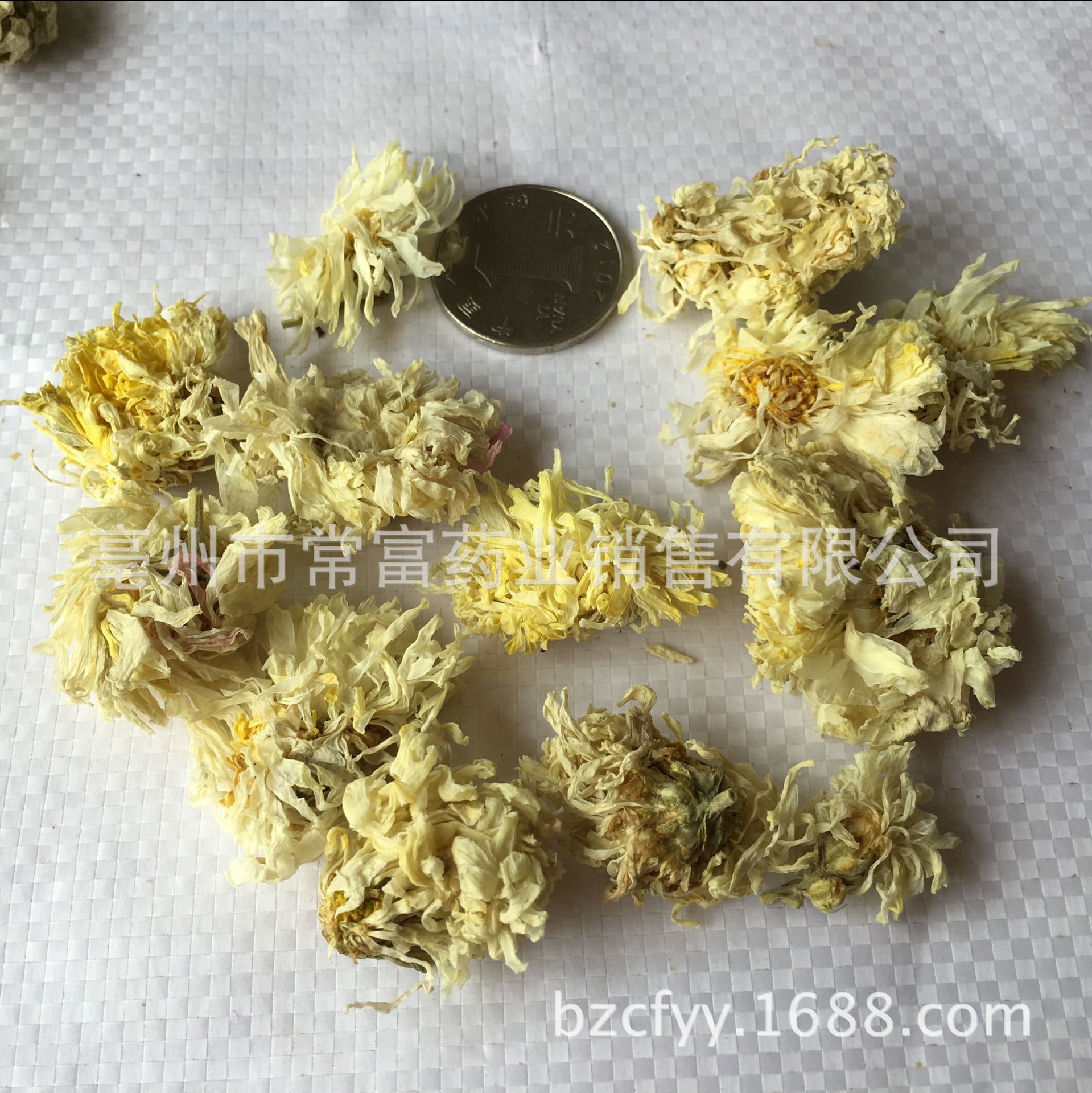 Bo Chrysanthemum Flower Bo Ju Hua Dried Whole Flowers for Tea and Culinary Use 500g Natural Sun Dried Bulk specifications