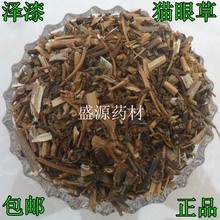 猫儿眼草】_猫儿眼草品牌/图片/价格_猫儿眼草批发_阿里巴巴