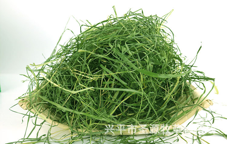 批发店南提详情_06