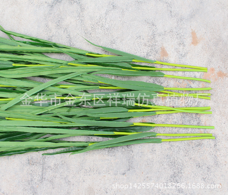 XRB-149 单枝春色水稻6 (6)