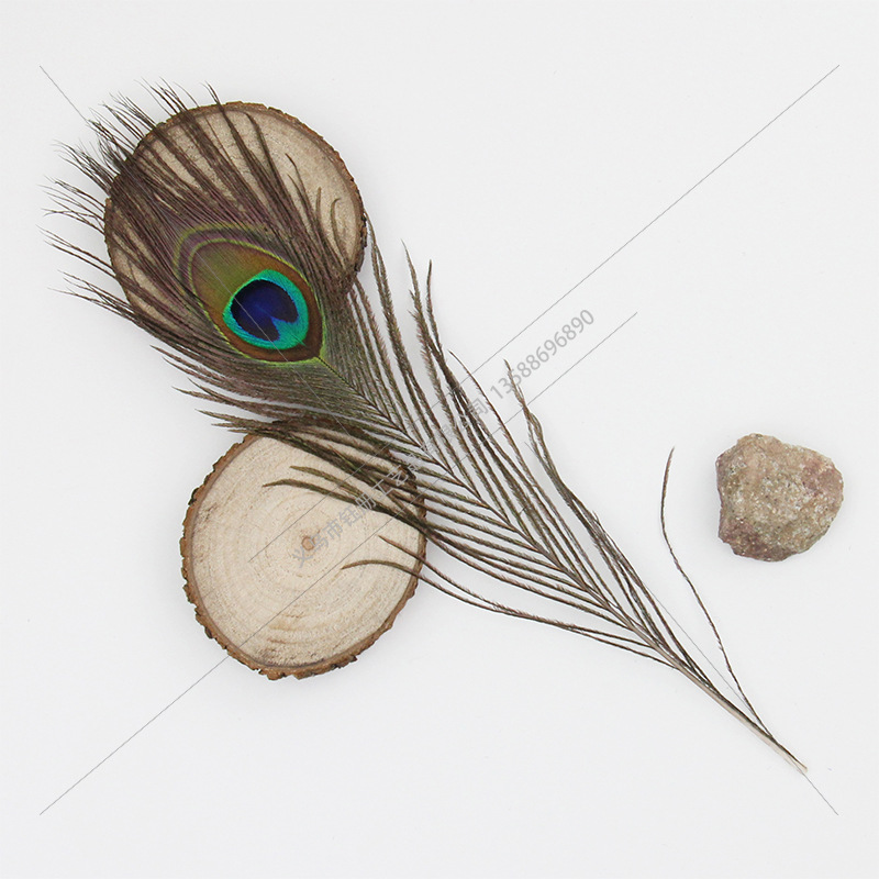 25-30cm孔雀毛DIY裝飾羽毛環保頭飾材料配件真孔雀眼睛10支裝