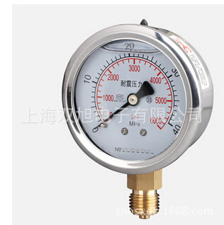 YN60径向压力表耐震1Mpa40Mpa 标准螺纹M14*1.5抗震油压水压
