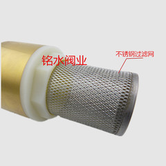 Copper belt mesh check valve/copper bottom valve water pump bottom valve/suction valve vertical check valve with filter 4 minutes to 1 inch