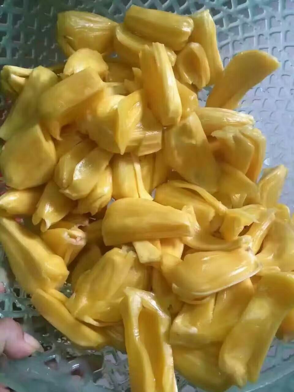 【野菠萝蜜】_野菠萝蜜厂家_野菠萝蜜批发市场