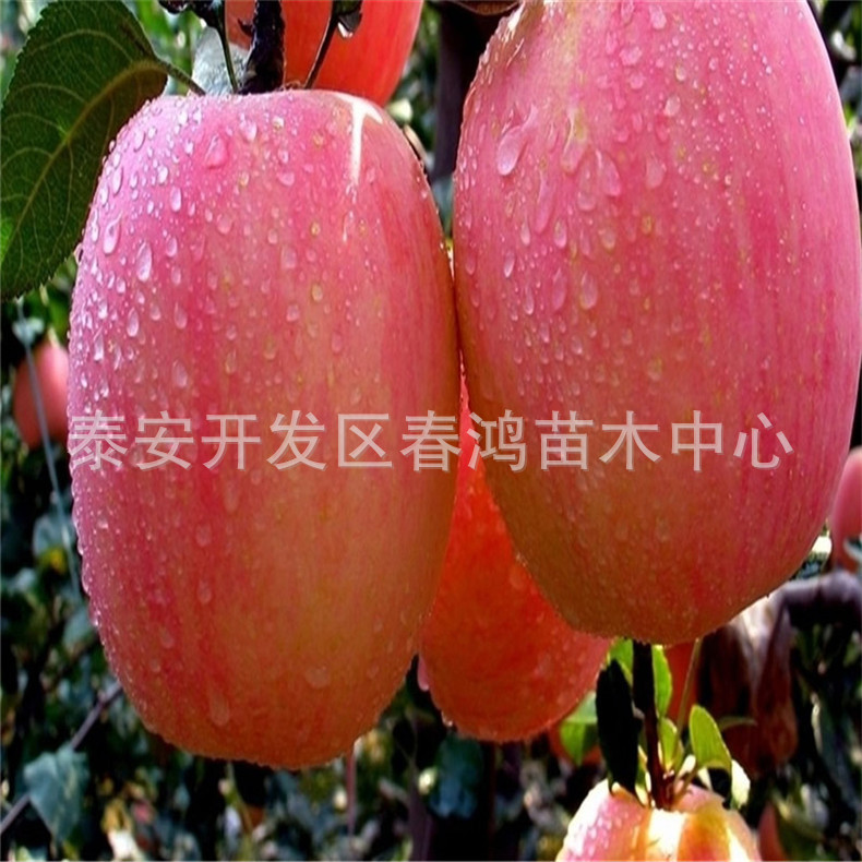 6716c3ad-63d2-445c-a3ca-8e298d