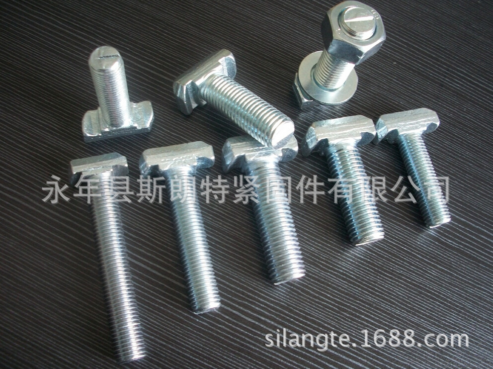 DIN188 T�ʹ����˨  DIN 1445 T����˨ T����˿ GB /T 158