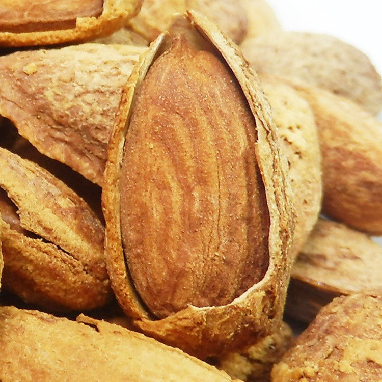 散裝批發堅果休閑零食龍果薄殼NP果手剝殼杏仁巴旦木奶油鹽焗味