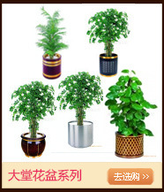 大堂用品和車架關聯營銷_04