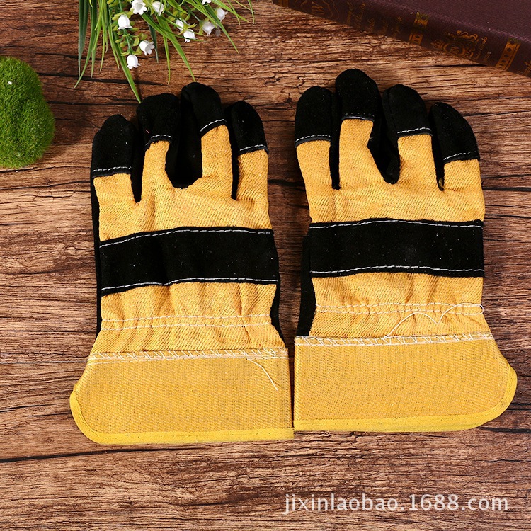 3705207170_707013135