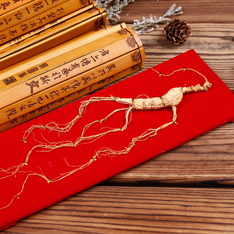 人参会跑吗_人参会跑吗供应商_人参会跑吗批