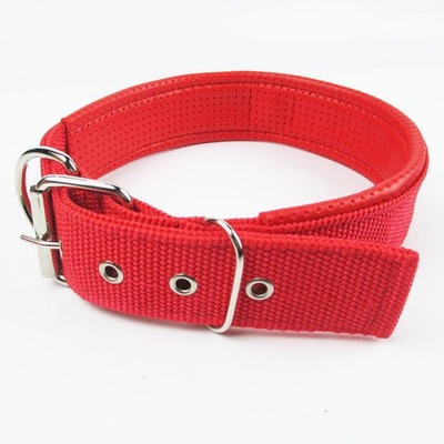 舒適泡棉尼龍單項圈 狗狗寵物項頸脖 鍍鉻扣 廠家供貨