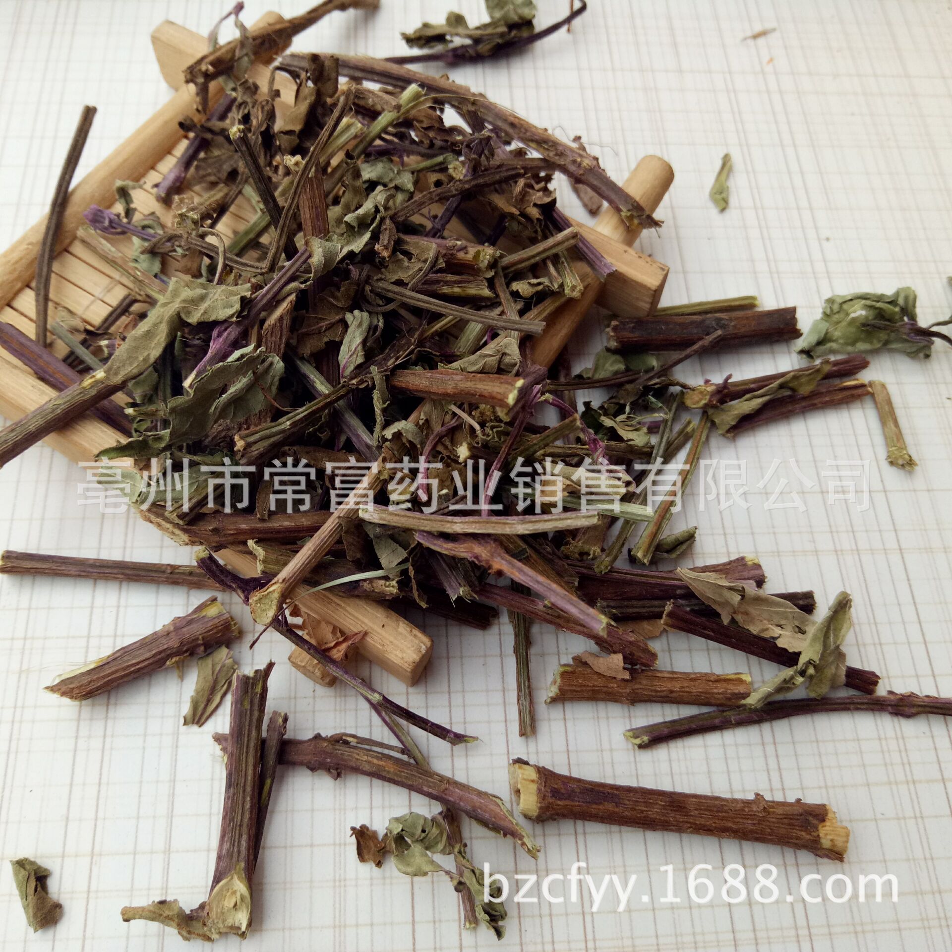 Mao Xu Cao Cat Whisker Herb Dried Orthosiphon Leaves 500g Traditional Herbal Tea Ingredient overview