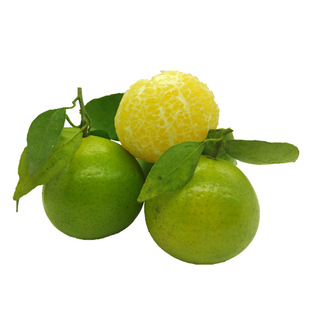 湖北桔子图片_湖北桔子图片大全 - 阿里巴巴海