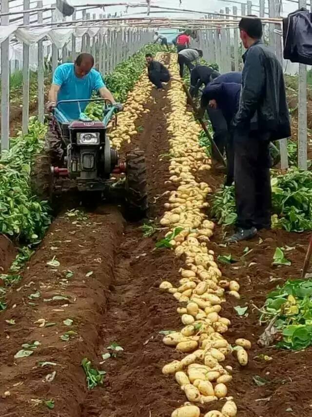94457698913421796