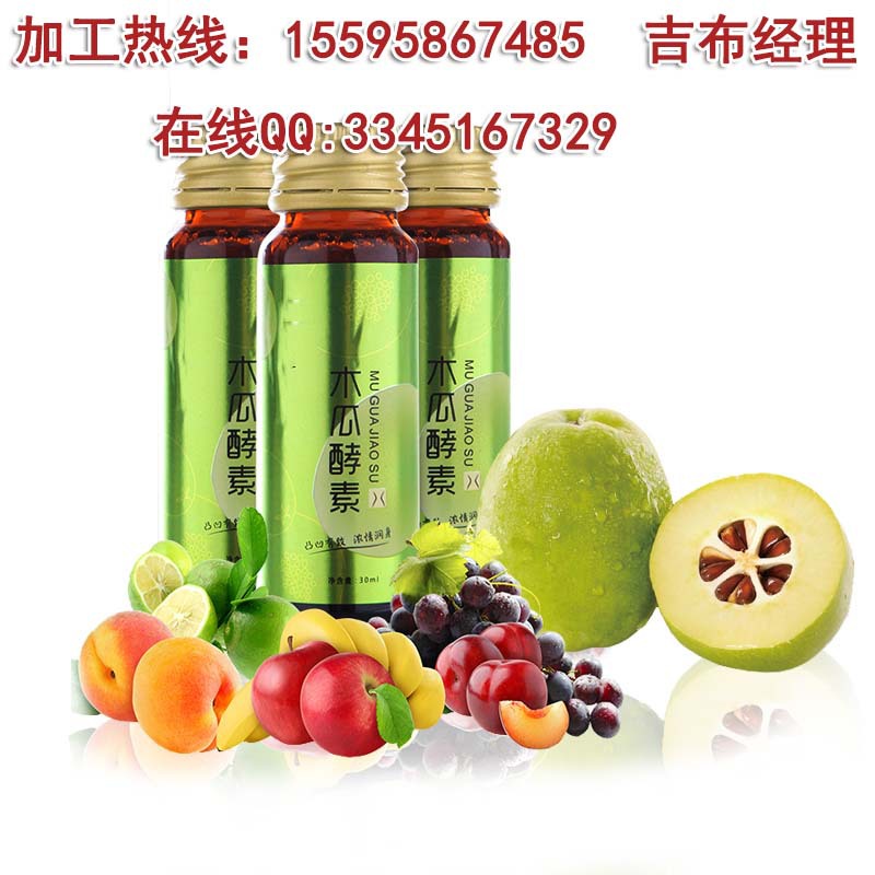 果蔬酵素饮品加工3