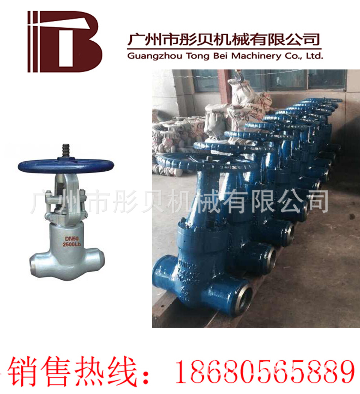 Z60Y-P54160V DN25手动电站闸阀