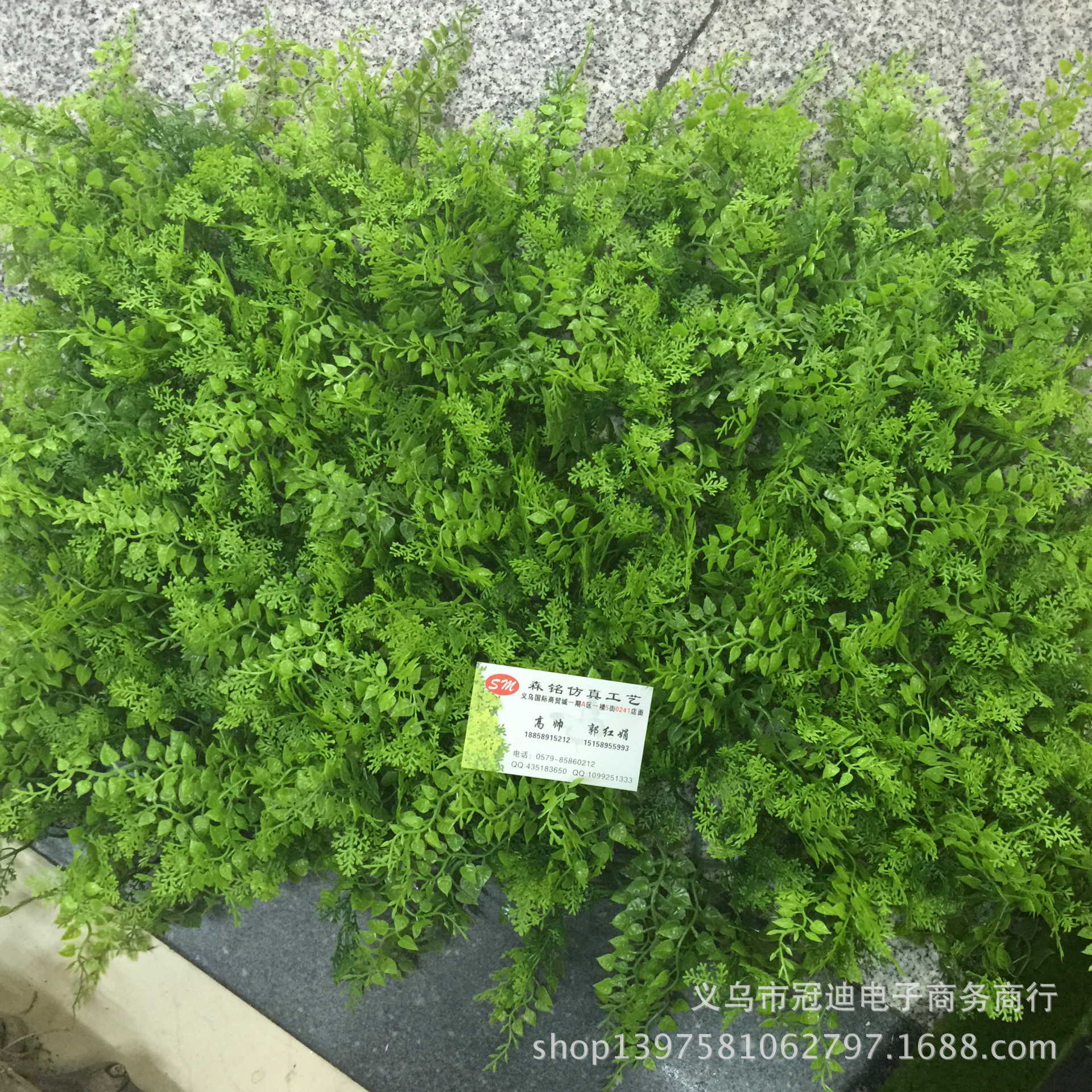 青苔曹皮IMG_2400