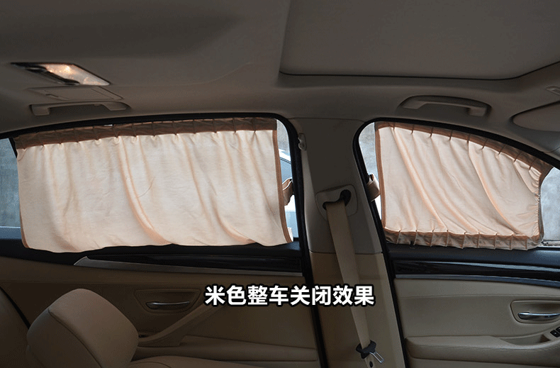 Car curtain _10