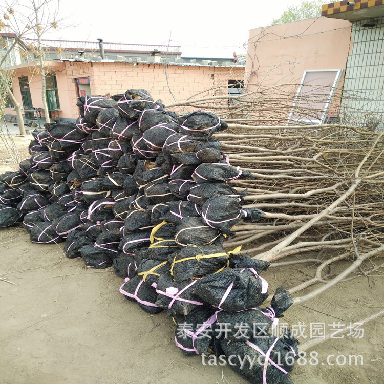 IMG20160330085106_副本阿里