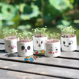 可爱卡通桌面小盆栽（五款直筒么么哒炫酷表情 )草头娃娃生日礼品