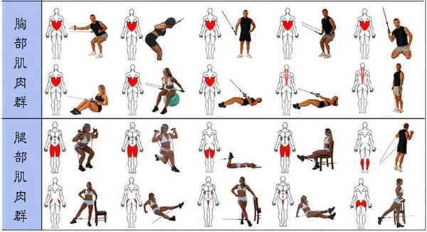 2331970105_1793293391