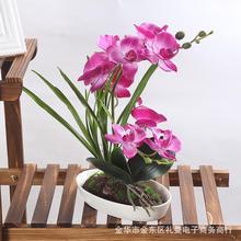 ������҃ȼҾ��Ʒ��������ֲ�ﱬ������m�辰С���ԏS��ֱ�N