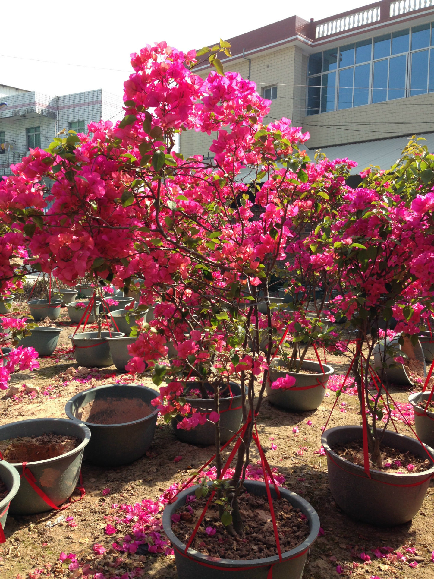 新建文件夹IMG_2146