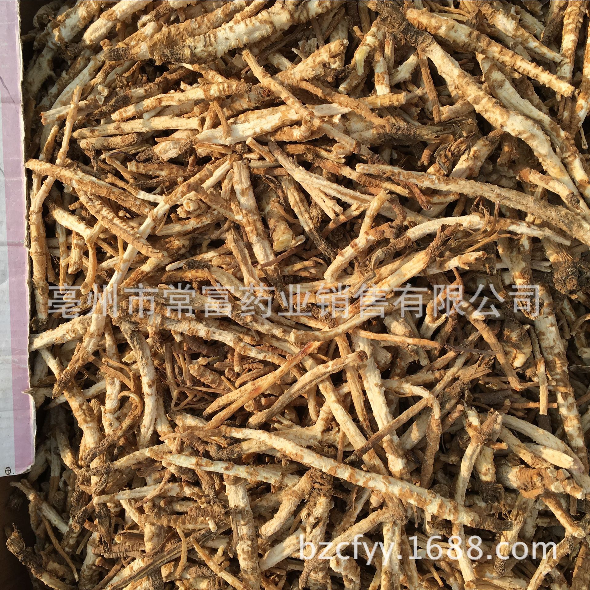 Dried Glehnia Root Slices Bei Sha Shen 500g TCM Herbal Decoction Pieces quality and texture