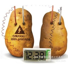 物质转换供电土豆钟 创意闹钟 LED生物钟 创新 科教益智产品