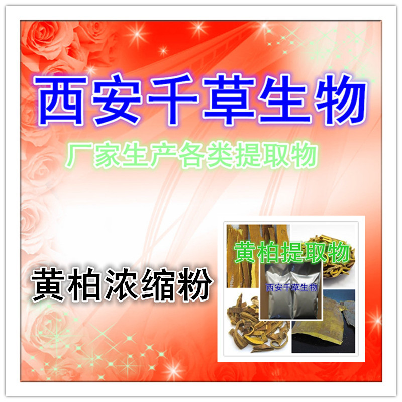 黄柏浓缩粉