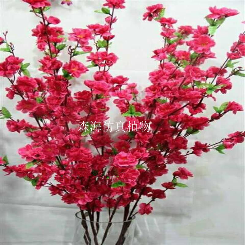 TB1pT5ILpXXXXawXVXXXXXXXXXX_!!