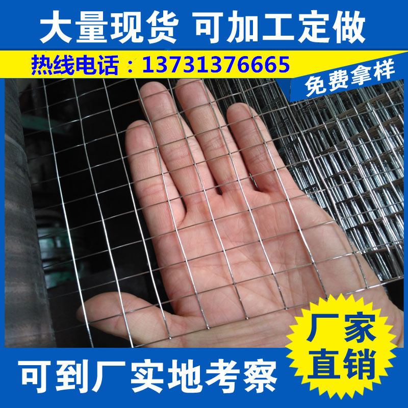 镀锌电焊网 抹墙网 建筑外墙保温网 狐狸笼具养殖网 厂价批发