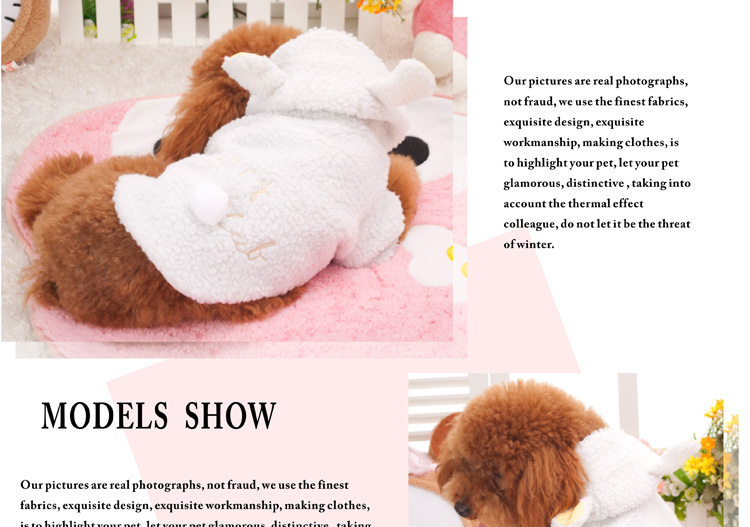 Dog in Sheep Coat
