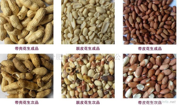 花生色選機效果3