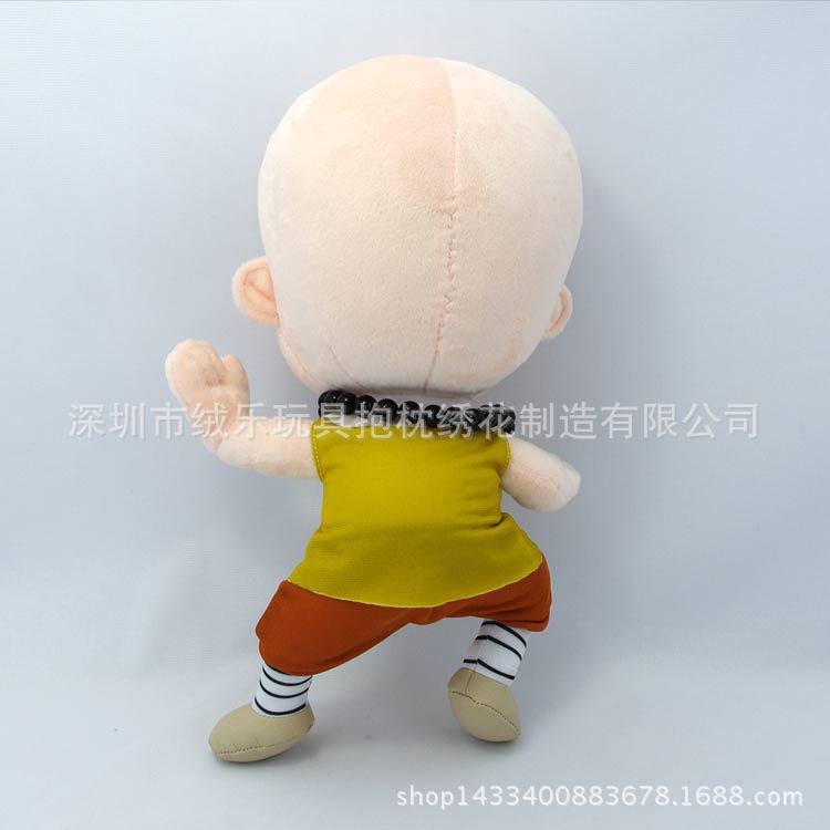 IMGP56519