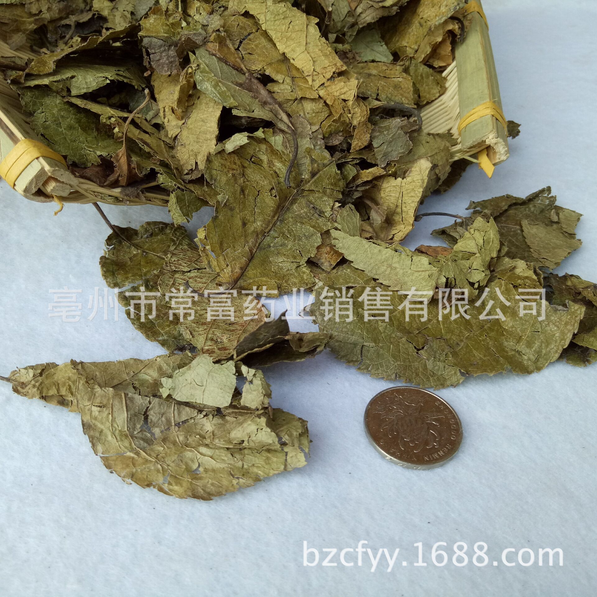 Dried Eucommia Leaf Du Zhong Ye 500g Whole Leaf Herbal Tea Material overview