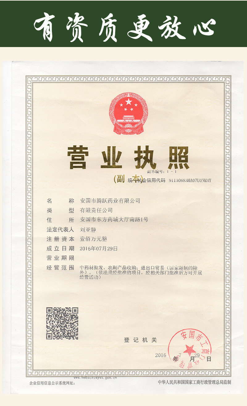 Dried Lily Bulb Bai He 百合 Bulk Herb 500g Hunan Origin quality and texture